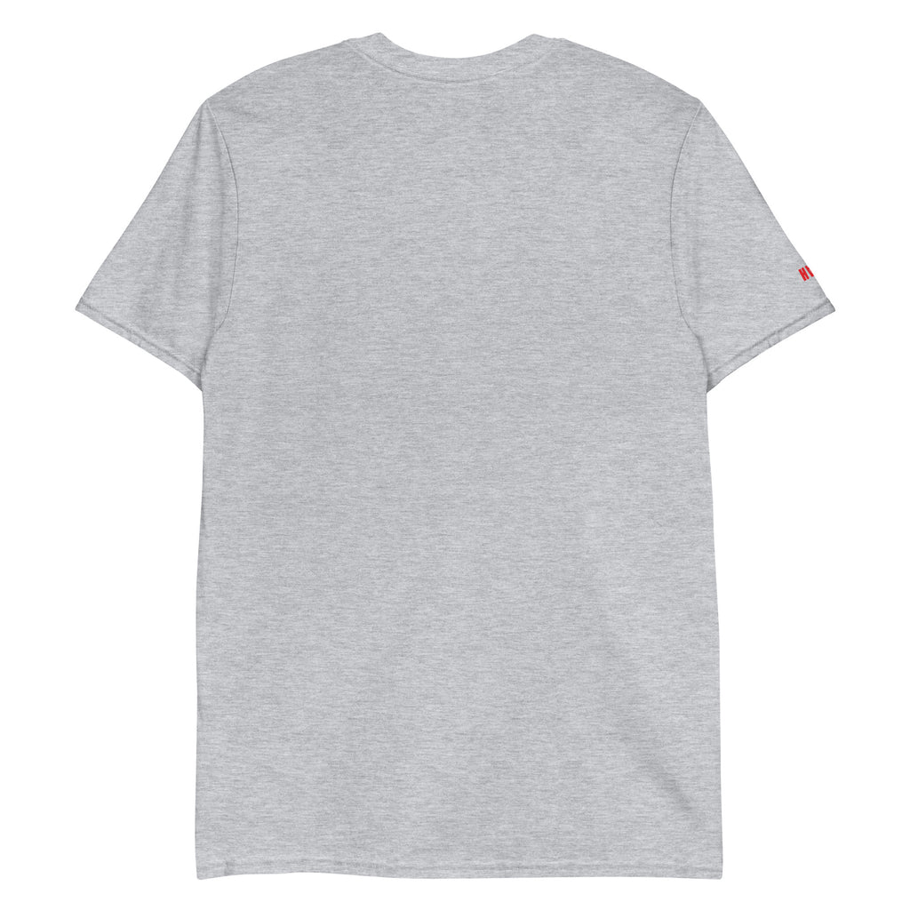 Back of Grey Tshirt