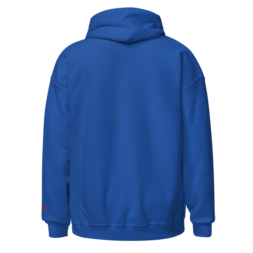 Back view of blue hoodie. 